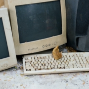 Dogherine 1jli Nzg59u Unsplash 7