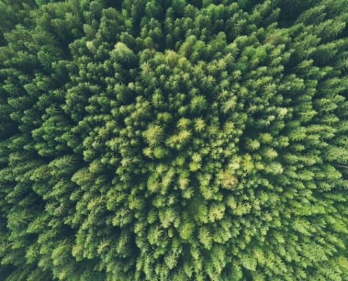 John O Nolan Umwprcrsrto Unsplash 1