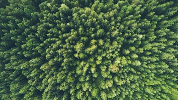 John O Nolan Umwprcrsrto Unsplash 1