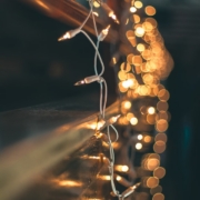 kevin-fitzgerald-nk6vQ7Ma-Kw-unsplash-1-1 Kevin Fitzgerald Nk6vq7ma Kw Unsplash 1 1